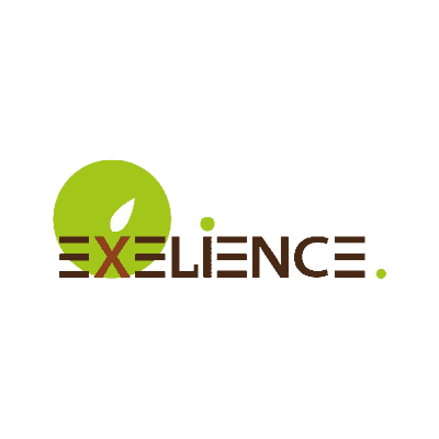 Exelience