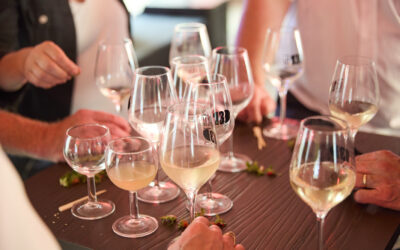 Les 130 dévoilent leurs premiers vins de Chardonnay