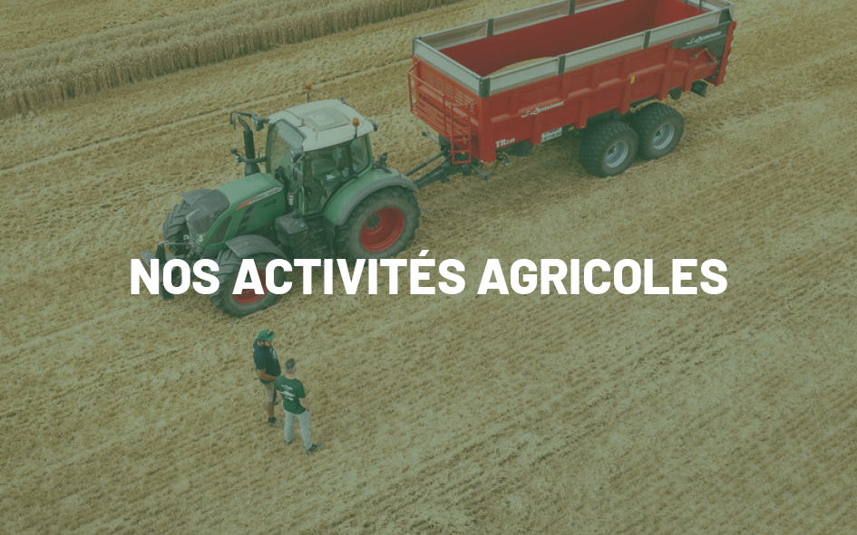 Nos activités agricoles