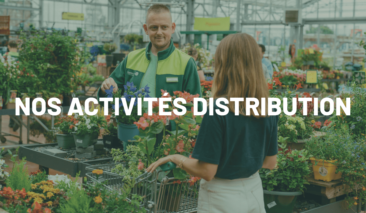 Nos activités distribution