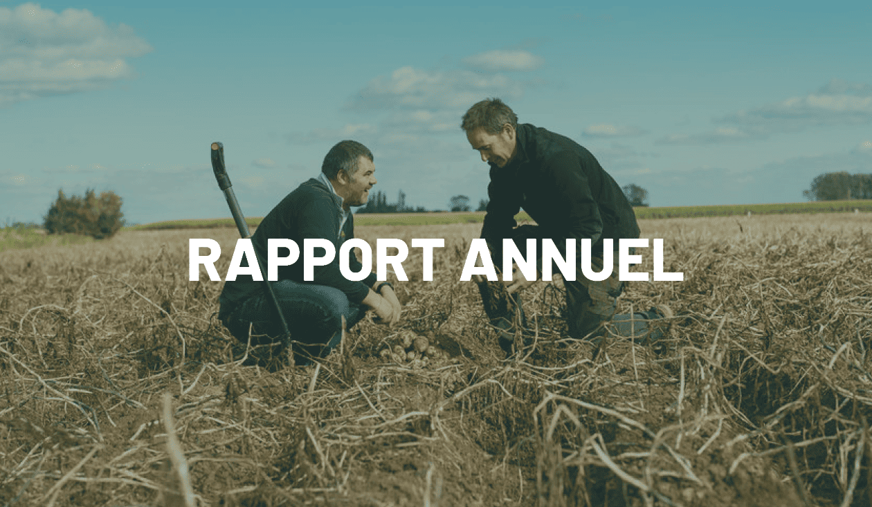 Rapport annuel